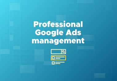Professional Google Ads management