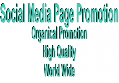 World Wide Social Media Page Promotion Instant