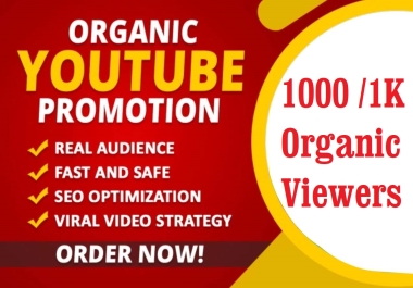 I will do organic U-tube video promotion