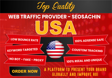100,000 Real Human USA Web Traffic From Search Engines and Social Media