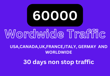 I will provide 60000 USA,  Canada,  UK,  France,  Germany,  Italy and worldwide traffic