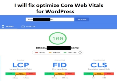 I will fix core web vitals for wordpress