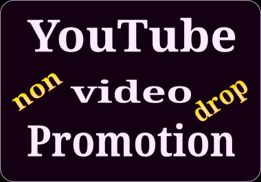 I will do manually YouTube video promotion via world wide real users and fast delivery