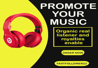 Do organic music promotion to target audience
