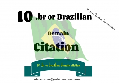 10. br or Brazilian domain citation