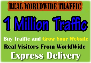 1 Million Organic Website Traffic in 30 days