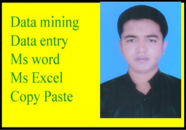 I will do data entry for your professional business.