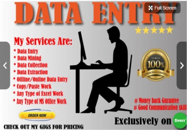 Complete any type of data entry or web research job