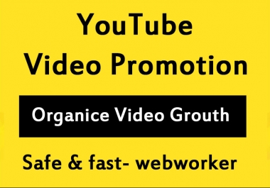YouTube Video promotion via Social media Marketing