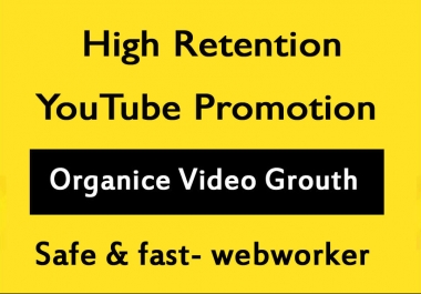 High Retention YouTube Video Promotion and Marketing in 12 Hours
