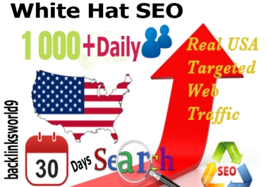 drive USA Daily 2000+ visitors,  niche targeted,  organic web traffic