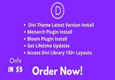 Install premium Divi Theme & All Plugins with API key