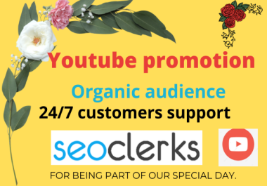 Fast and high Quality Youtube Video Promotion