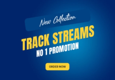 Do Organic Music Promotion For Songs Track Streams