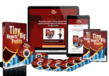 Get Tiny Reports Big Profits&rdquo Video Training PLR