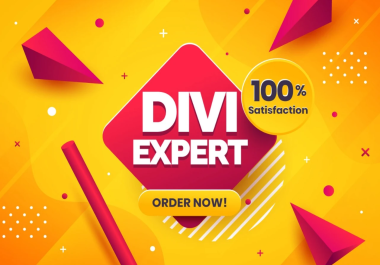 I will divi wordpress website ecommerce website online store landing page by divi theme
