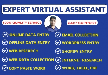 I will be your virtual assistant expert for data entry,  web research,  copy past work