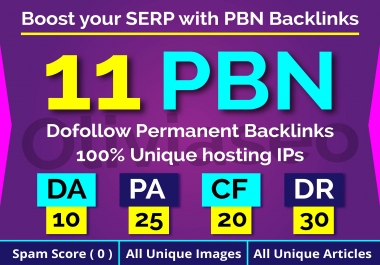 I will Create 11 Permanent Homepage PBN backlinks for SEO