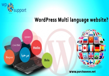I will customize your WordPress website to Multi Language Support
