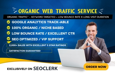 I will drive 01 Million Organic Web Traffic For 30 Days