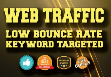30000 Worldwide traffic cheap and faster delivery