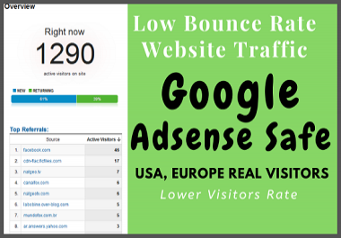 Drive Real Human WEBSITE TRAFFIC for 30 days NO-BOTS