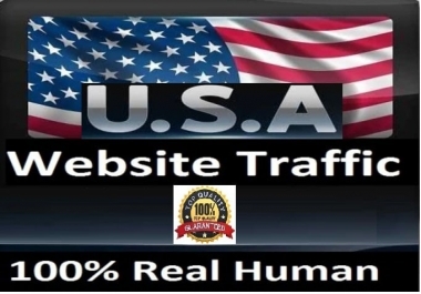 I will send website ranking,  targeted usa traffic to your website