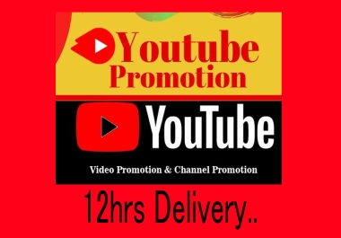 Organic high quality Youtube Video Promotion and Seo Ranking Marketing