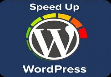 I can do any wordpress seo within your time limit
