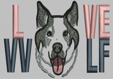 Wilcom Embroidery digitizer full stack of skill,  4 years of experience