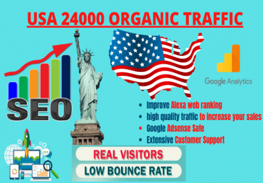 keywords targeted USA organic web traffic