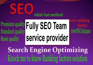 100+do follow linkbuilding with seo team service
