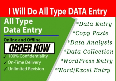 I can do any TYPES of Data Entry Works within 24 Hours