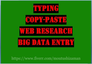 Data Entry,  Copy Paste,  And Typing