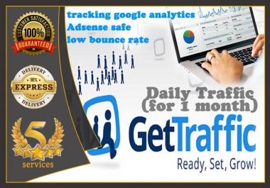 i will send you unlimited daily traffic for your website or blog site