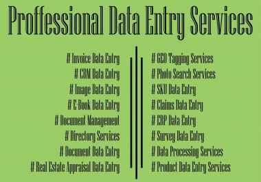 Professional Data Entry Service