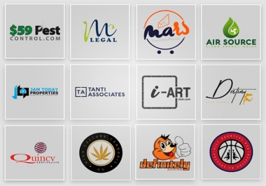 create a professional business logo design