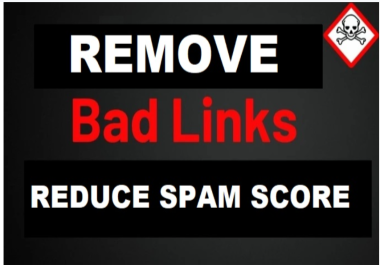 I will Remove bad Spammy Backlinks and reduce Website Spam Score For Ranking
