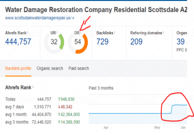 Increase Your Domain Rating DR 50+