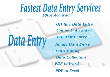 Fastest Data Entry Services in just 24 hours 100 Accuracy work