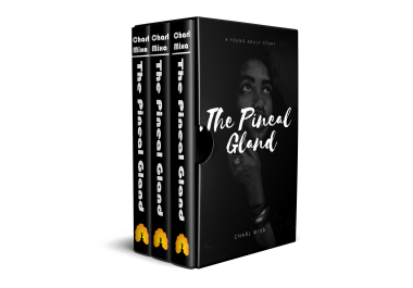 A GREAT E BOOK COVER OR KINDLER COVER