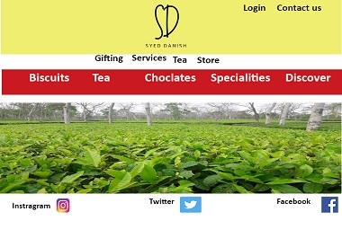 I CAN DESIGN AN OUTSTANDING WEBSITE FOR YOU