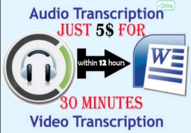 Turn your 30min. audio or video into profrssionally written scripts.