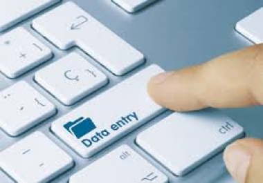 Data Entry with great Accuracy and in Time.