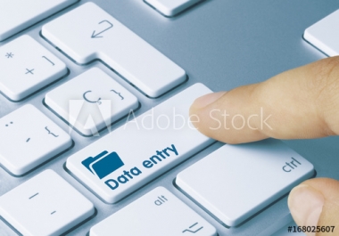 Do data entry job as per your instructions