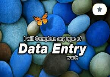 Expert in all types of Data entry work