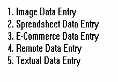 ANY TYPE DATA ENTRY ENGLISH, HINDI,  MS OFFICE,  EXCEL WORK.