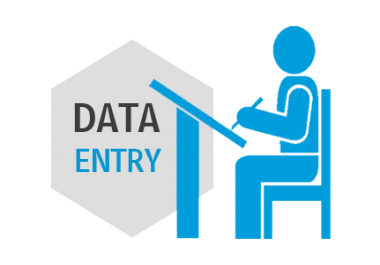 Expert in data entry,  Excel work,  transcription and logo design.