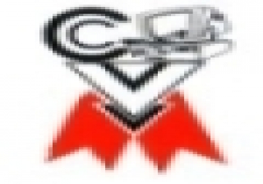 Data Entry work,  typing work,  word,  excel,  ppt,  pdf or jpg to doc data conversion work etc.