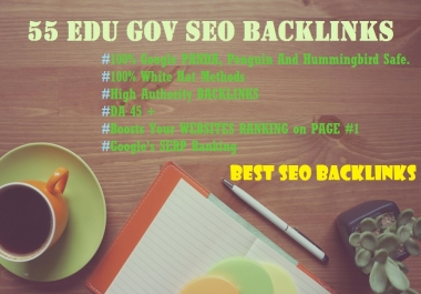 Manually Do 55 EDU GOV SEO Backlinks for your website